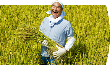 当店のお弁当には、淡路島の米農家さんが丹精込めて育てたお米を使用しています。